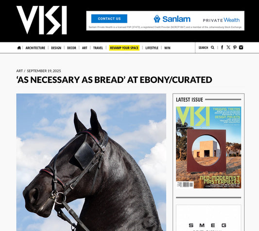 A VISI magazine feature on Gabrielle Kannemeyer by Gina Dionisio
