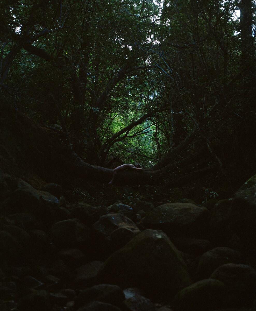 Rooted II | Ed. 1 of 3
