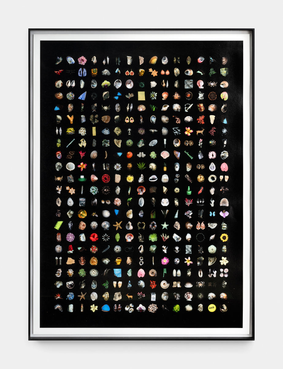 Anthropocene 2017-18 | Edition of 5, 1 AP