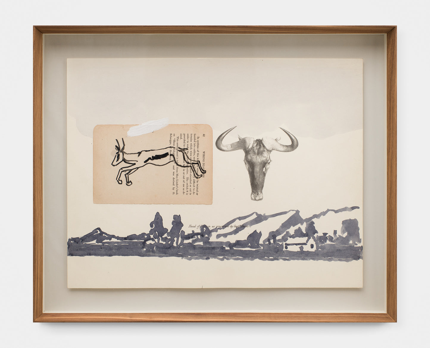 Victorian Engraving of Wildebeest with Montage of Springbok Drawing and added Landscape