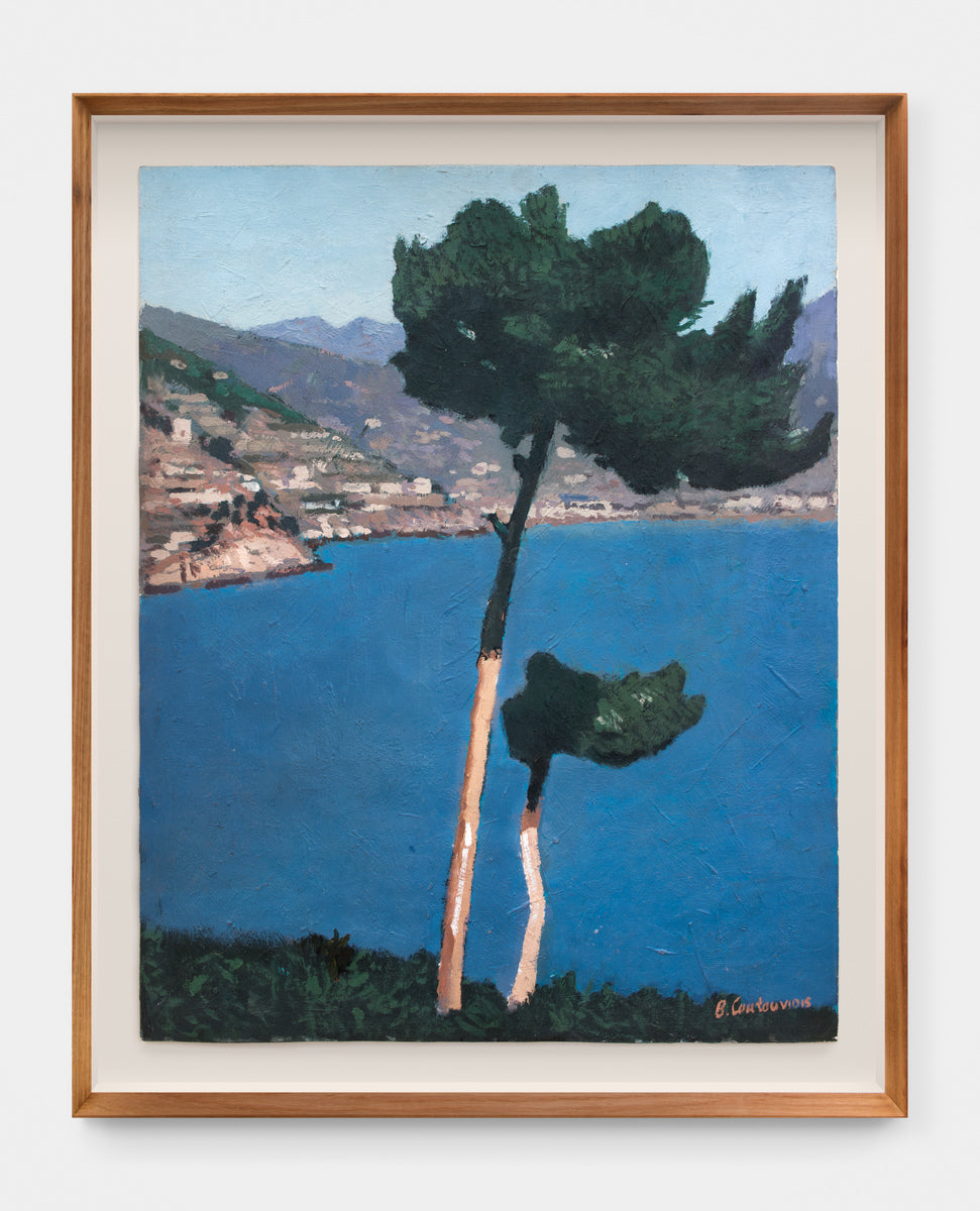 Stone Pine with Backdrop of Italian Coastline