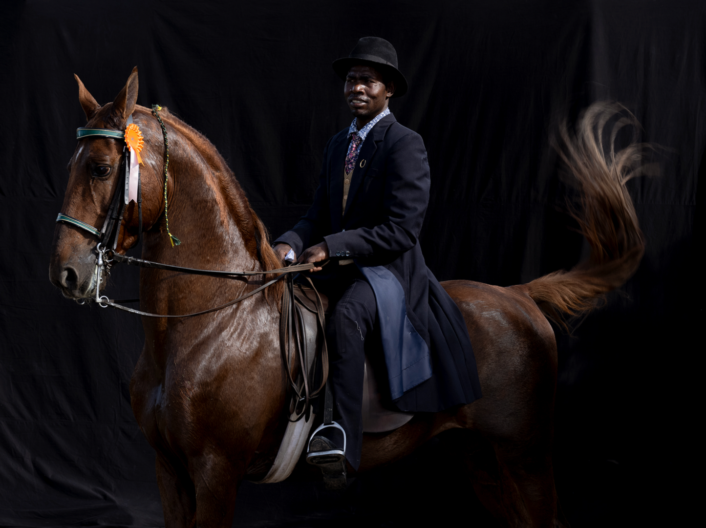 Kosie Makwena on Follow Your Dreams. South African Hackney Championships, Beaufort West