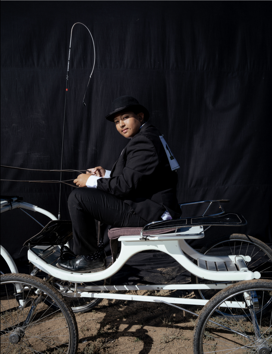 Amaan Van Boom, AVB Stables. South African Hackney Championships, Beaufort West