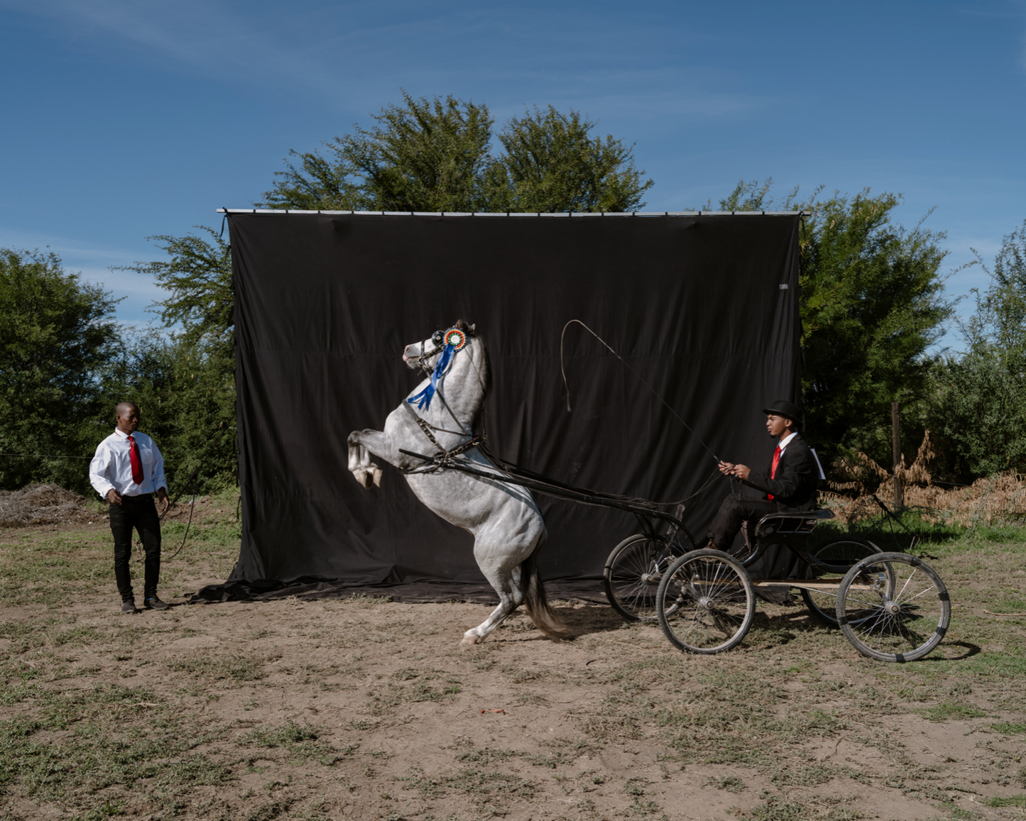 Dennis Kometsi and Ismaeel Jacobs with Little Fergeys Pagad, owned by Erins Ysel, Zetler Stud. South African Hackney Championships, Beaufort West