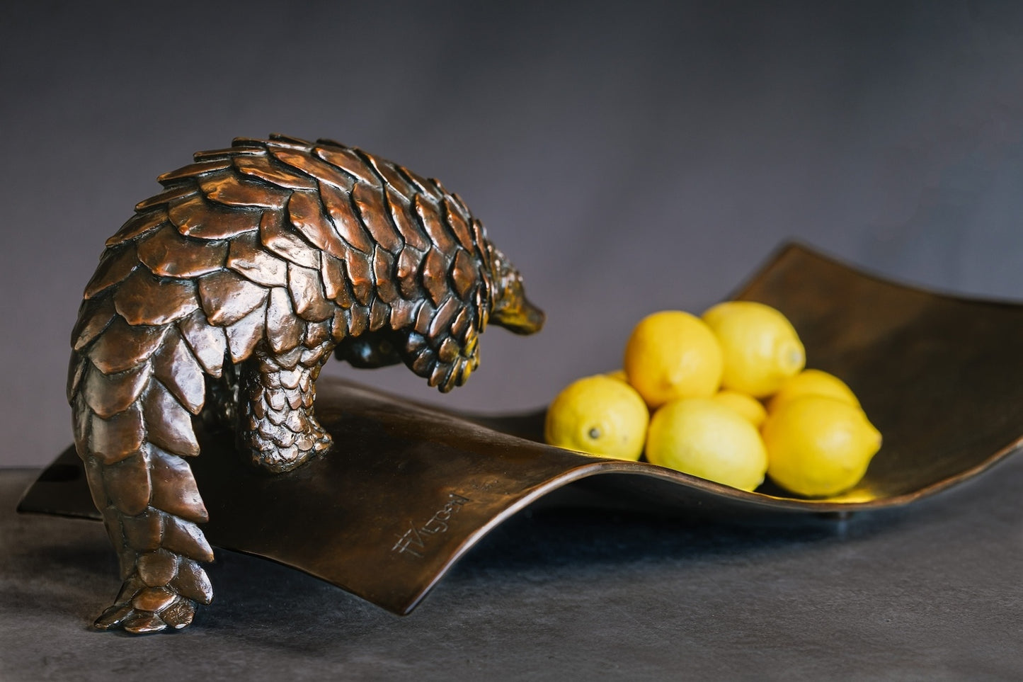 Pangolin Visitor II | Ed. 1/20