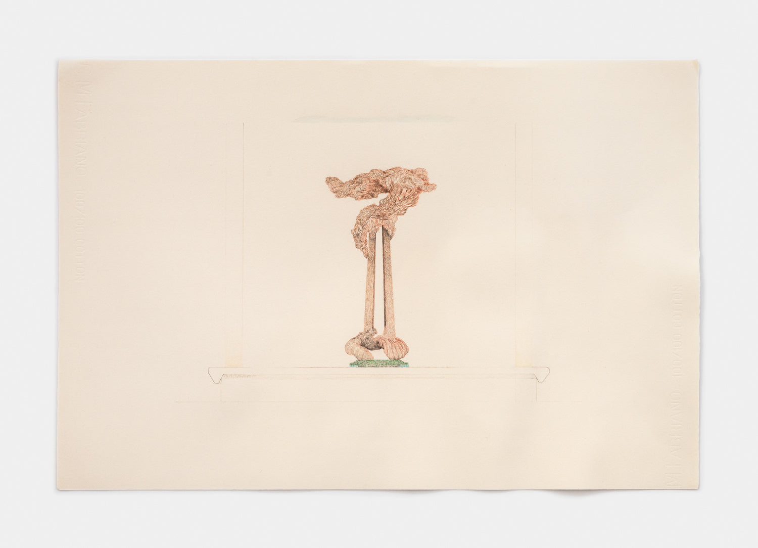 Sculptural Branch Atop Pediment