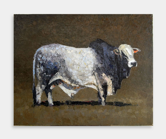 The Brahman