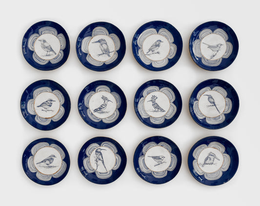 Blue Bird (LR13-LR24)