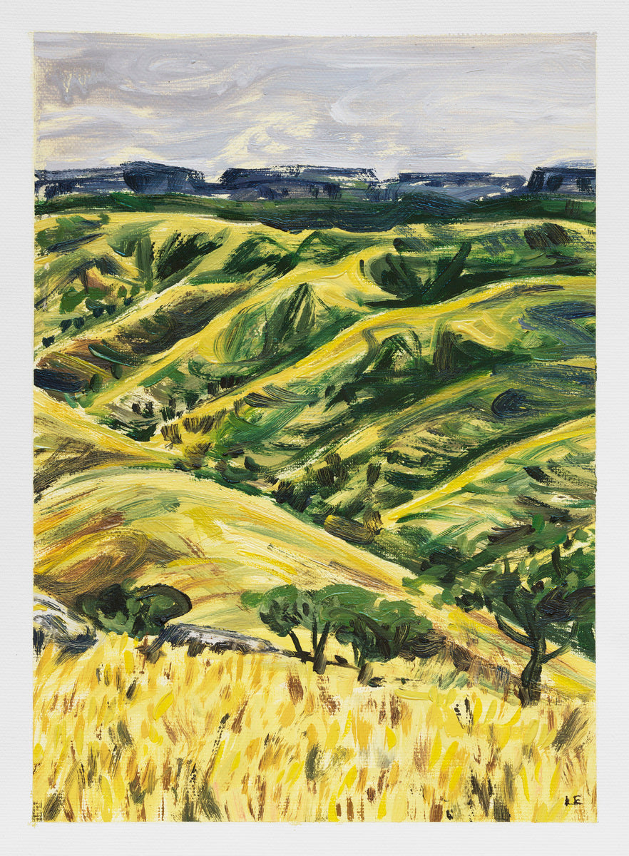Grasslands of Natal