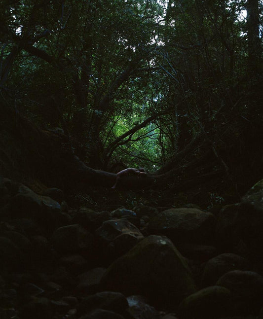 Rooted II | Ed. 1 of 3