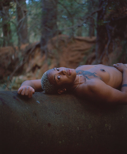 Rooted III | Ed. 2 of 3