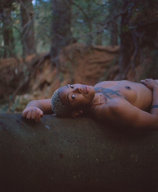 Rooted III | Ed. 1 of 3