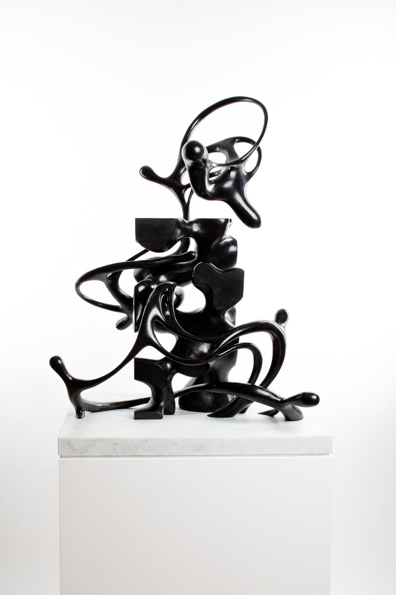 Neural Plasticity (Bronze 001)