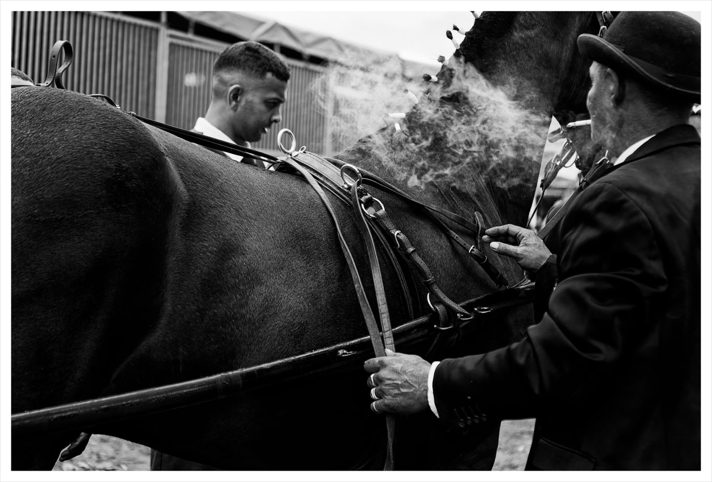 Span In. Farouk Brenner. Moorreesburg