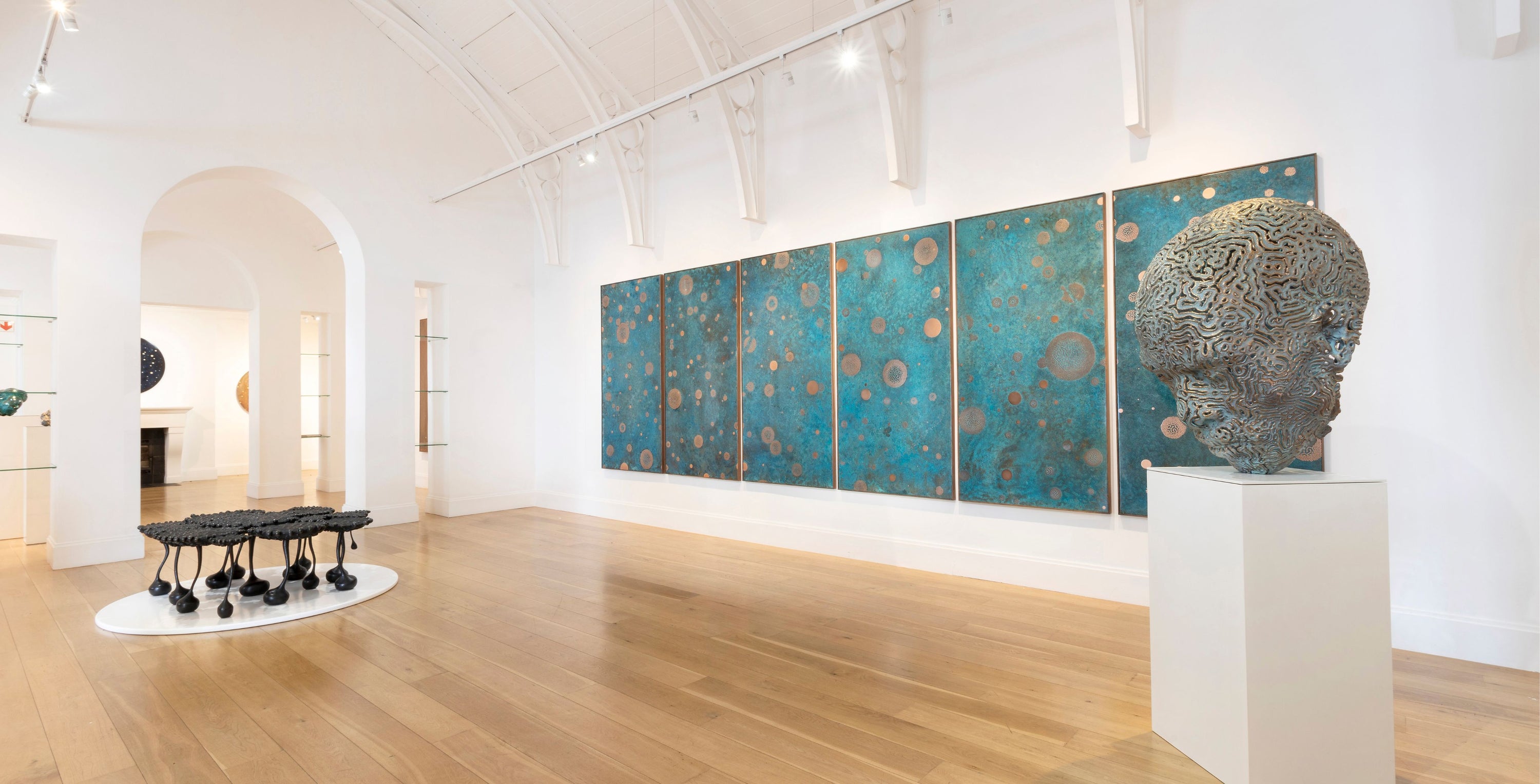 Best Free Ebony Cam Sites: A Curated Selection - 5vifdt9