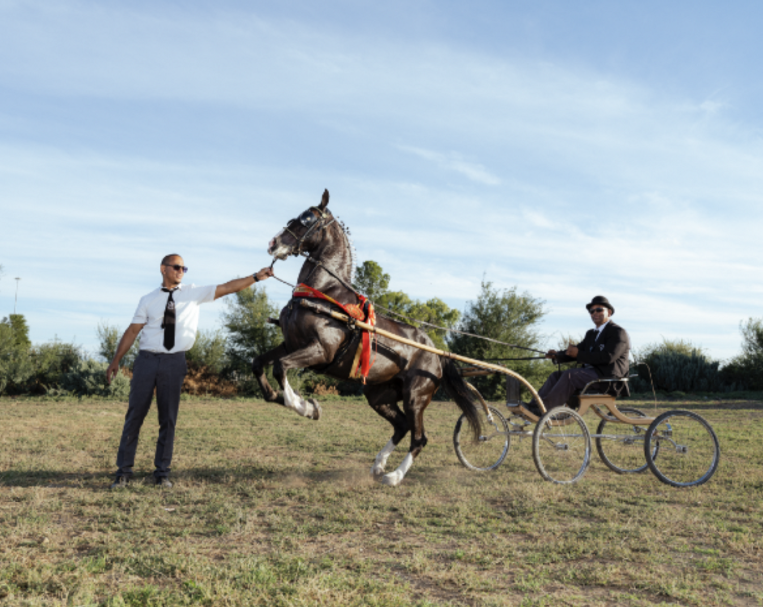 Niyaaz Marlie and Reyaad Davids with Julietta, owned by Abdullah Davids, Morocco Stud. South African Hackney Championships, Beaufort West