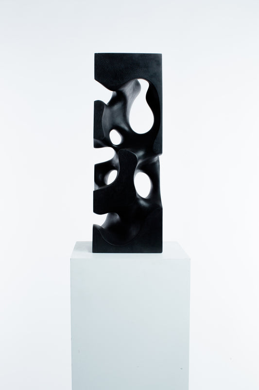 Neural Pathway (Wooden Cuboid 015)