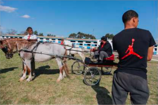 Uyzel Sky with Stanford Gertse, Zinedine Gertse and Adriano Claassen, Salutta Stud. Spring Show, Robertson.