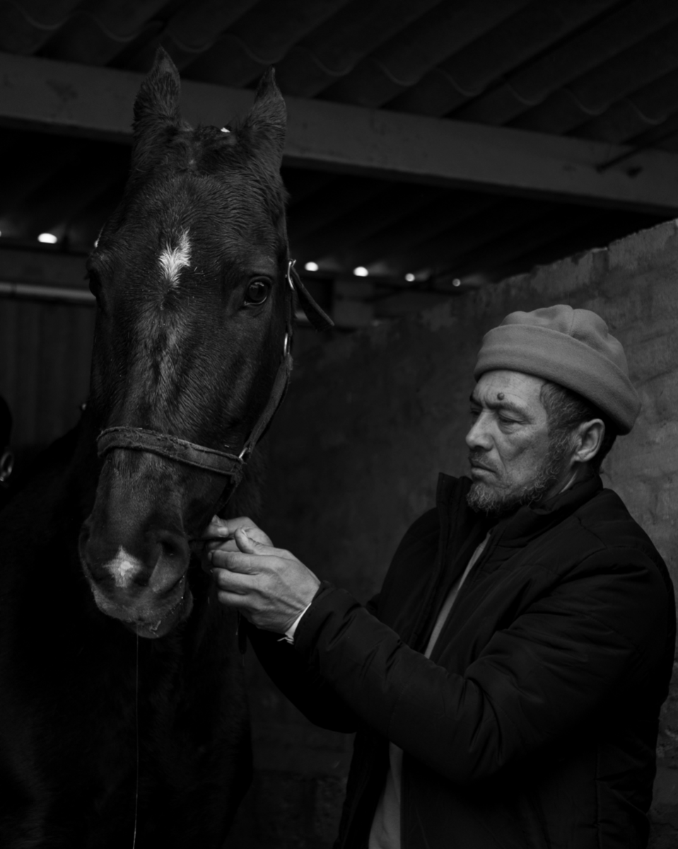 Abbas Bouwers with Morocco Masterpiece owned by Abdullah Davids, Morocco Stud. Swartland Show, Moorreesburg