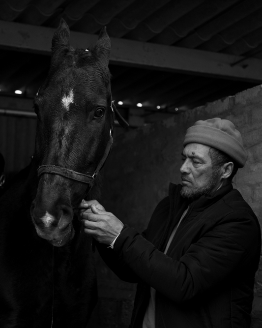 Abbas Bouwers with Morocco Masterpiece owned by Abdullah Davids, Morocco Stud. Swartland Show, Moorreesburg