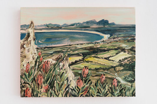 View from Sir Lowry's Pass