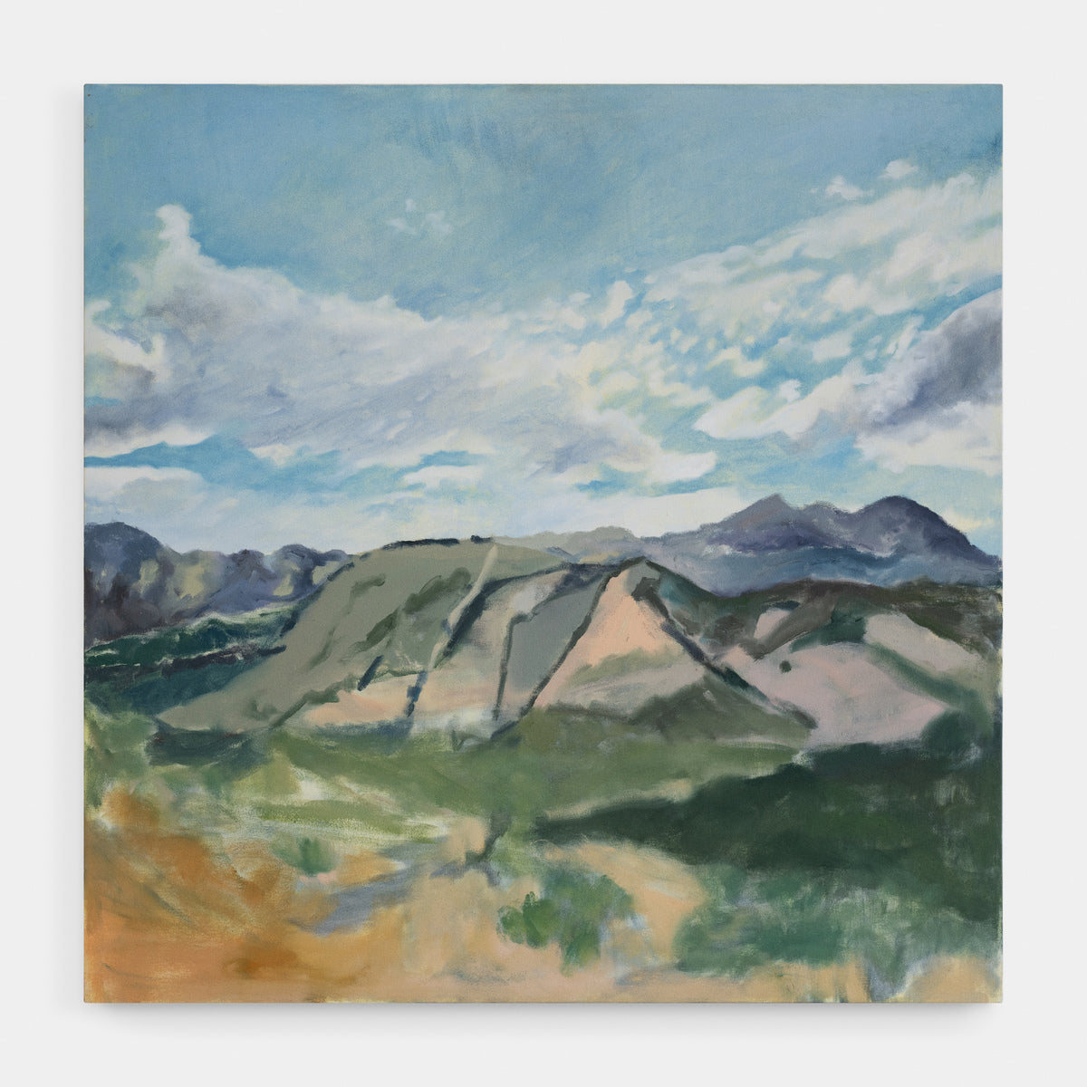 The Hill At Home