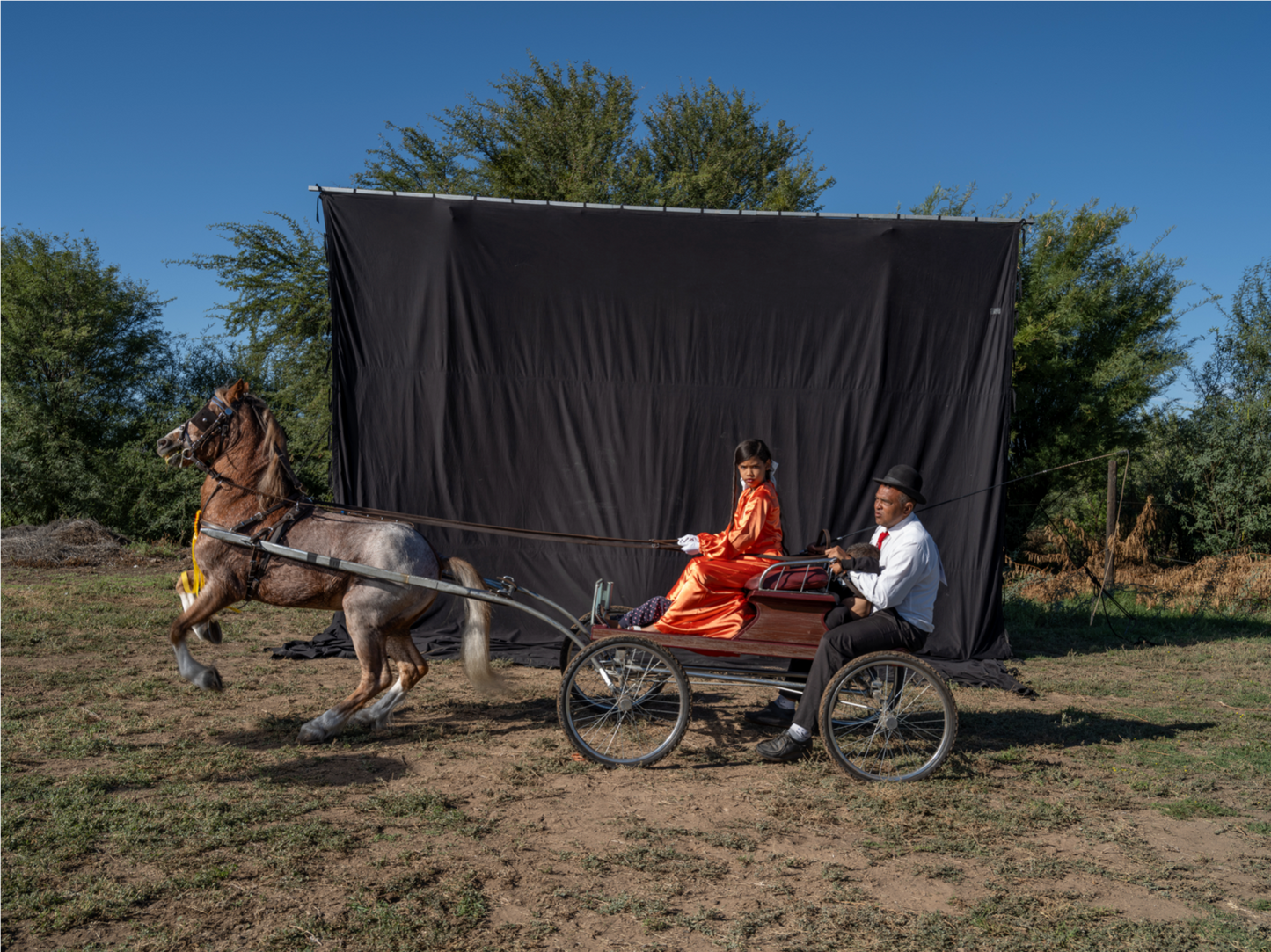 Imaan Brenner and Abdul Aziz Jacobs with Biyoki Bonsi, Jforce Stud. South African Hackney Championships, Beaufort West