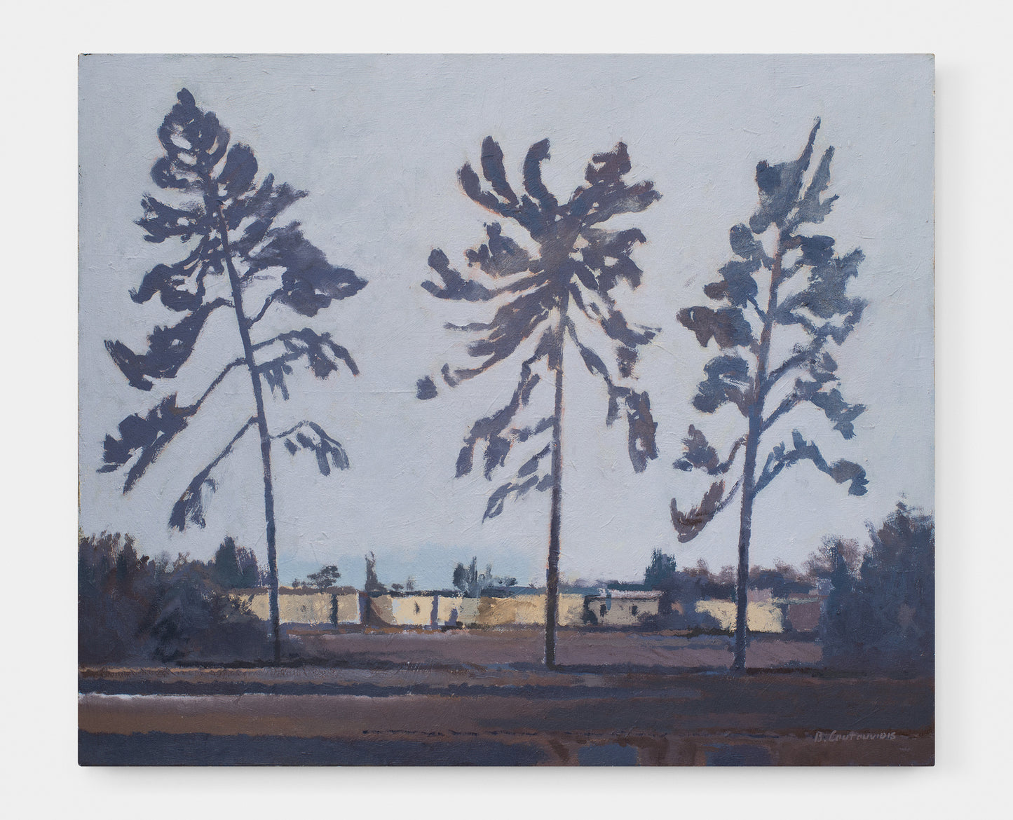 Trees at Dusk